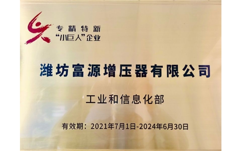 Little Giant Enterprise