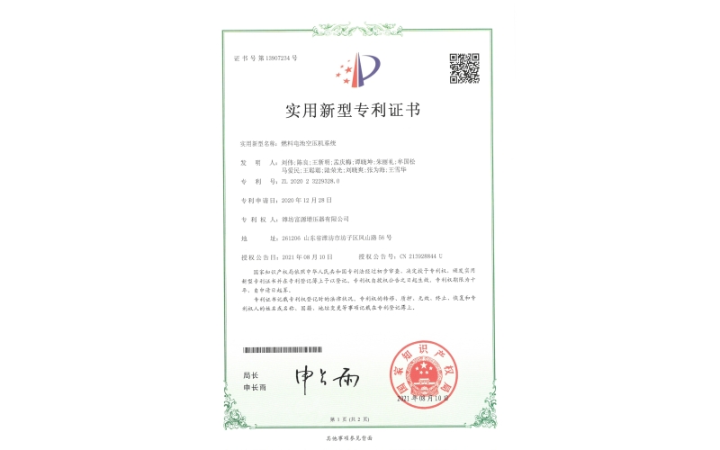 Fuel cell air compressor system